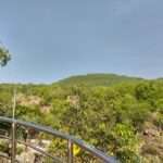 IMG_20181110_091111_HDR