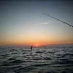 Screenshot_2020-11-15-21-45-34-638_com.whatsapp