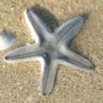 Screenshot_2020-11-29-11-54-11-875_com.miui.videoplayer – Copy