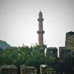 IMG_20201124_144411 (2)