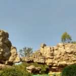 IMG_20181110_090223_HDR