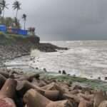 IMG_20190723_124339_1